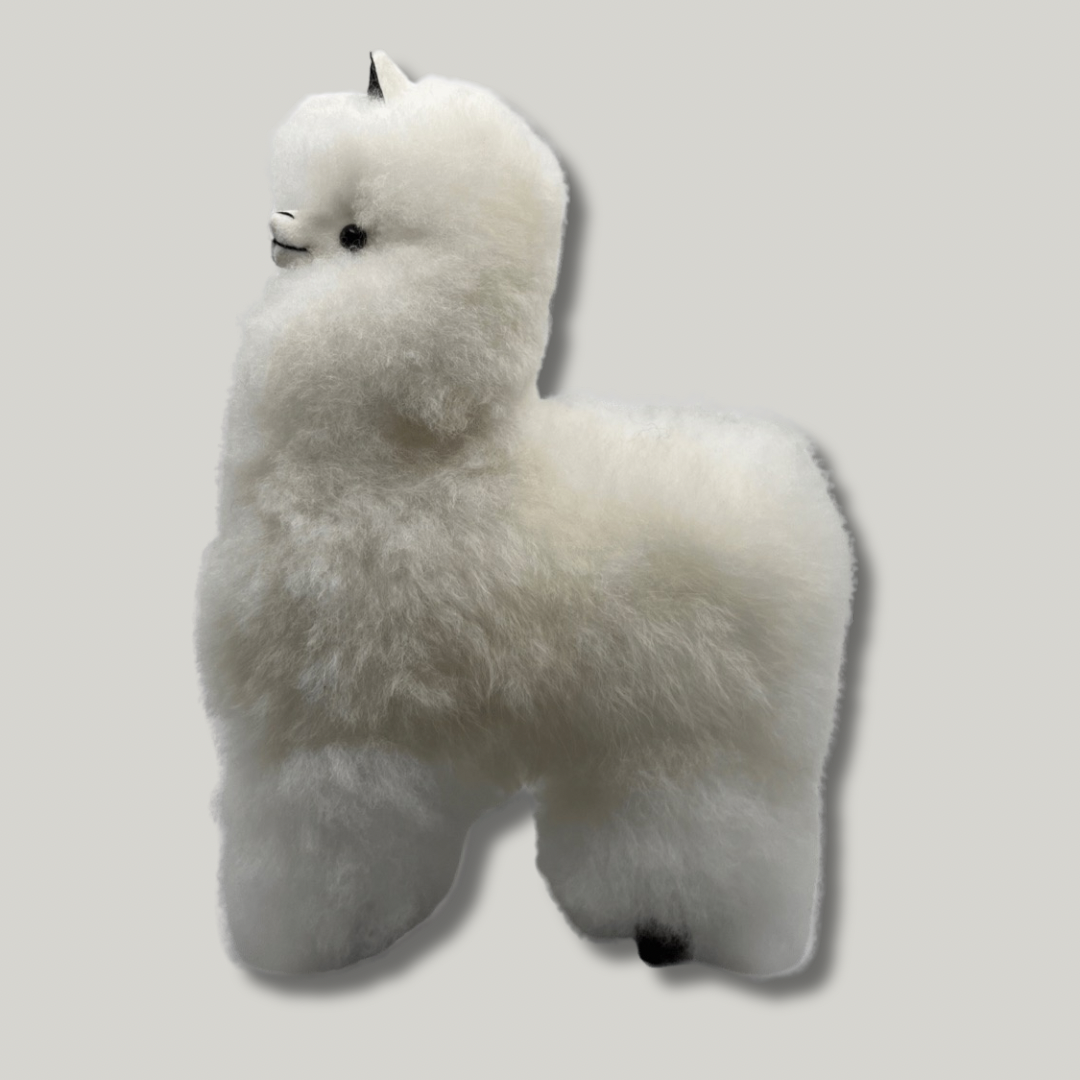 “Little” Authentic Alpaca Llama