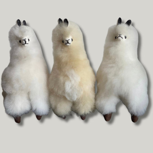 “Little” Authentic Alpaca
